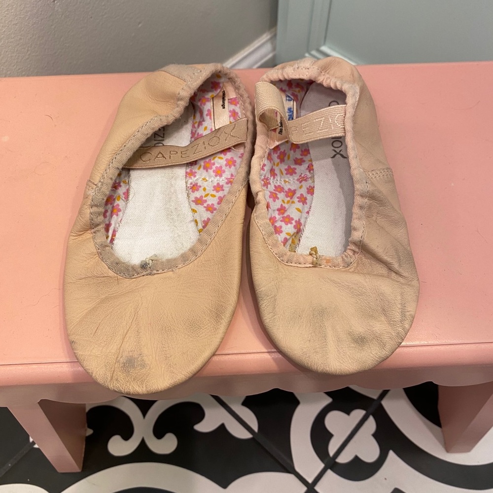 Capezio Daisy Ballet Slippers